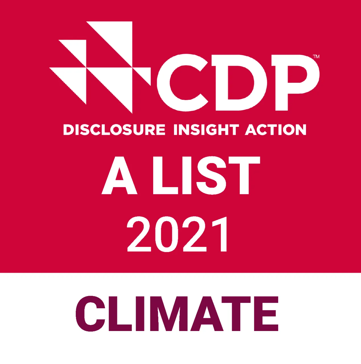 CDP A List 2021