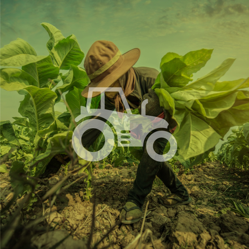 Farmer livelihoods & welfare image