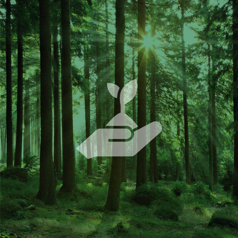 Sustainable & responsible sourcing image
