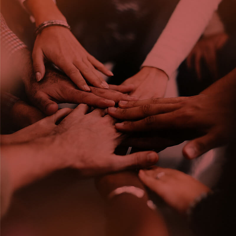 OUR FOCUS AREAS diversity image