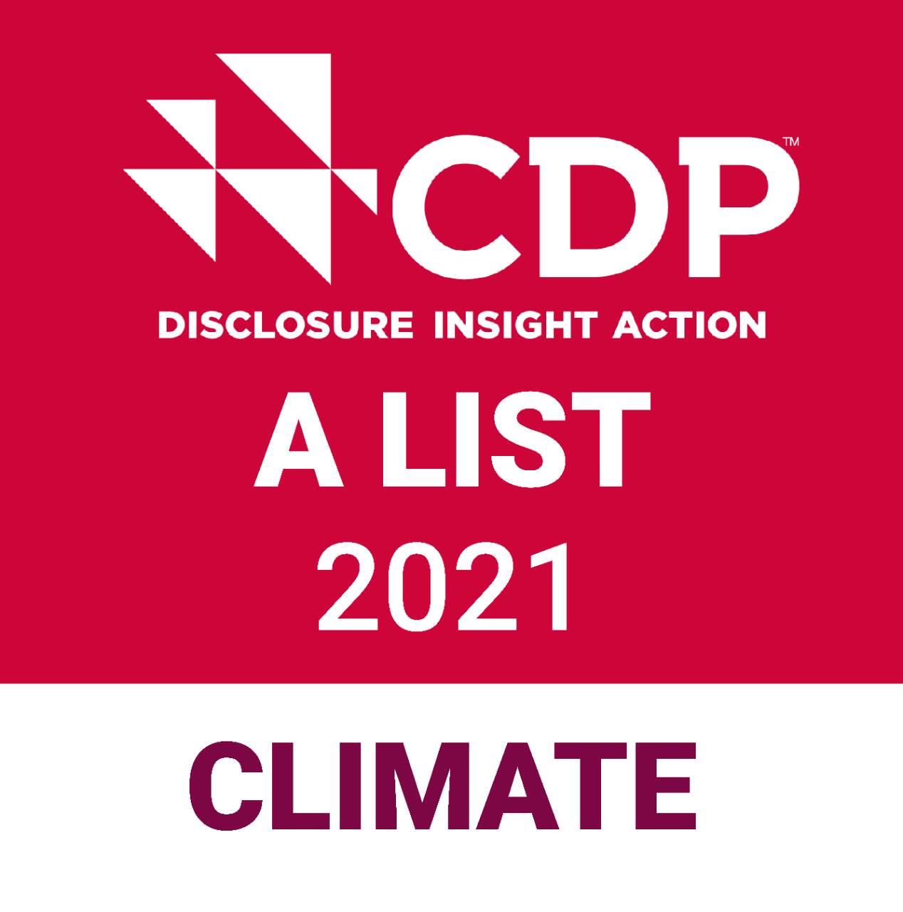 CDP A List 2021