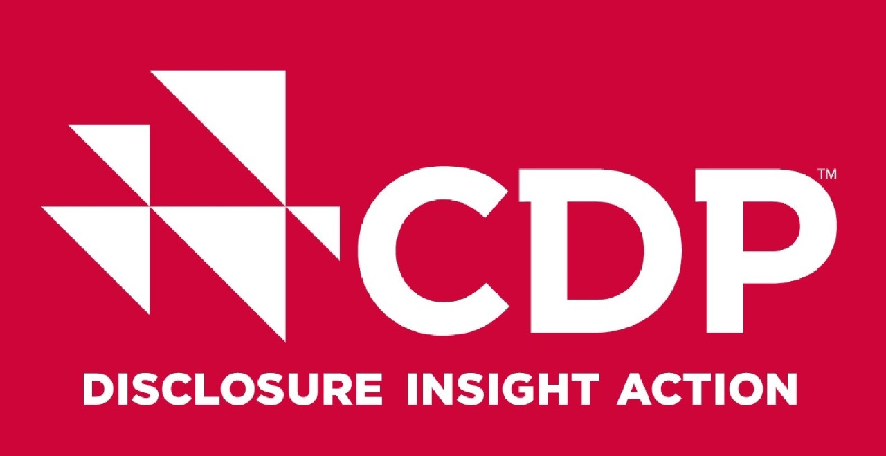 CDP logo