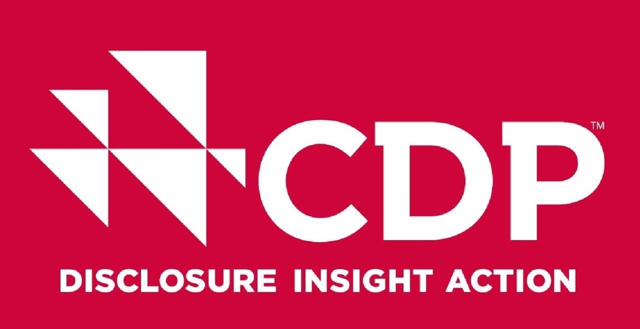 CDP logo